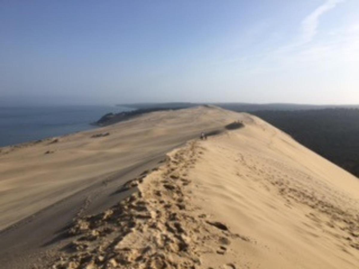 Appartement T2 En Front De Mer A Arcachon, Acces Direct Plage, Parking, Animaux Admis - Fr-1-374-201 Luaran gambar